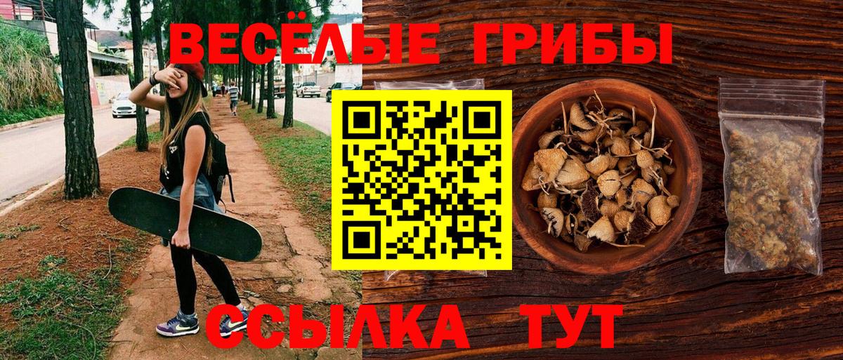 Псилоцибиновые грибы мицелий Соликамск